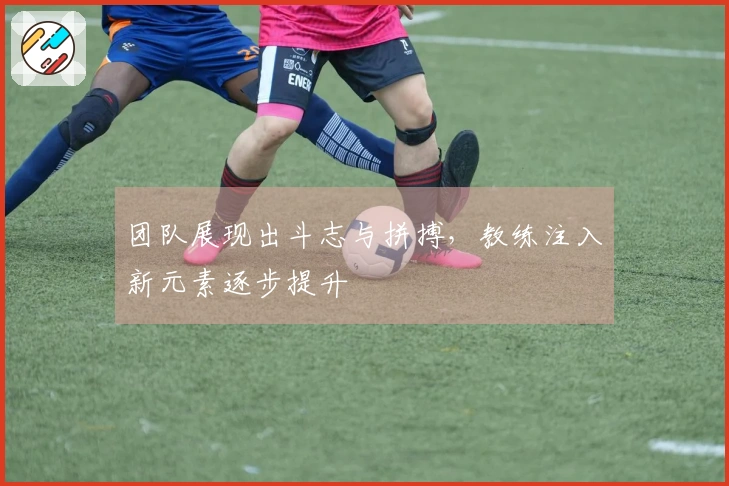 团队展现出斗志与拼搏，教练注入新元素逐步提升