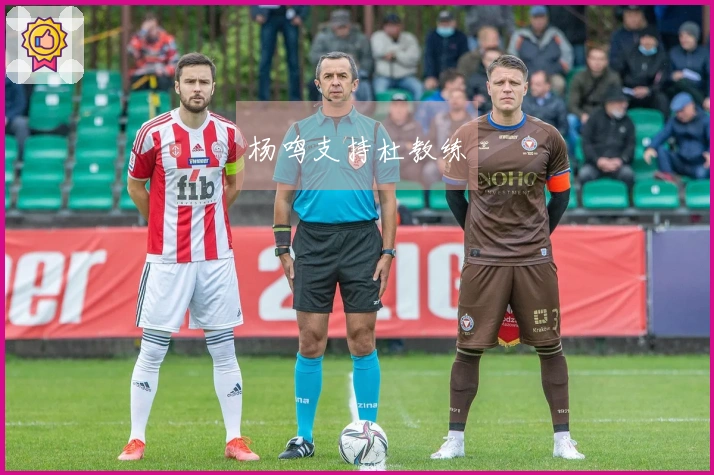 杨鸣支持杜教练